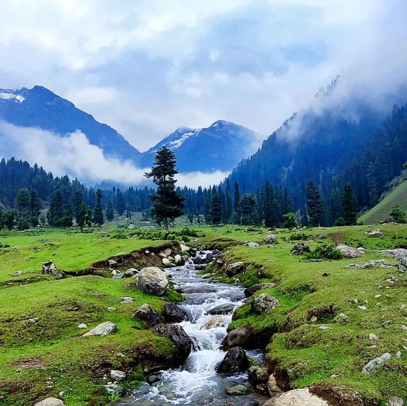 7 Days 6 Nights Kashmir Tour Package