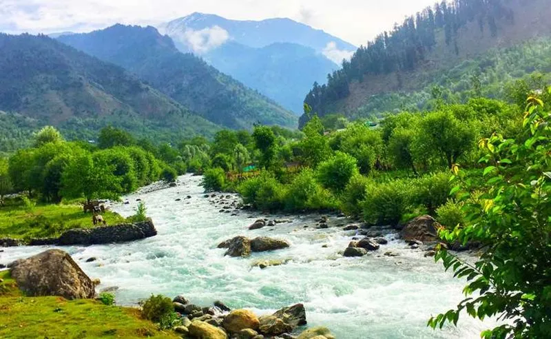 A week of Summer in Kashmir